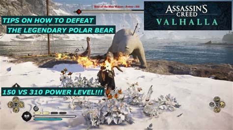 Assassin S Creed Valhalla How To Defeat The Legendary Polar Bear