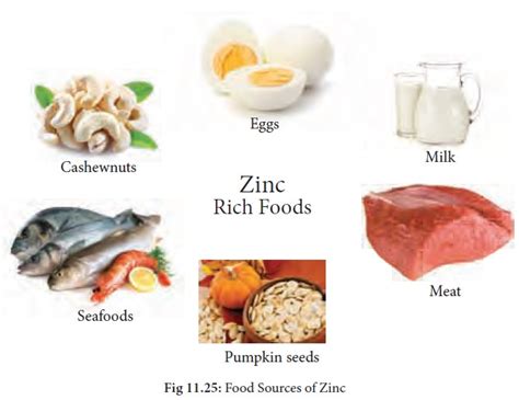 Zinc Functions Food Sources Symptoms Of Deficiency