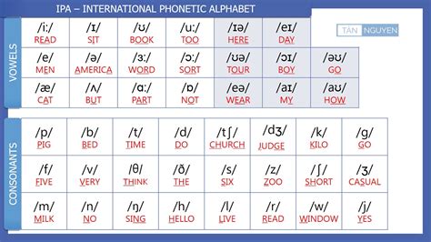 Ipa International Phonetic Alphabet Youtube