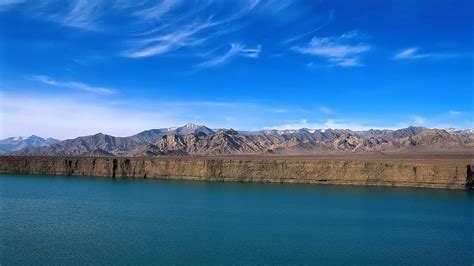 Qinghai Lake Backiee