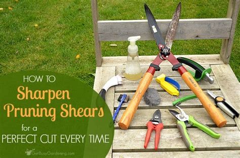 Thclips.com/video/c4xmnkh56gq/วีดีโ learn how to sharpen gardening tools and blades, whether single or double bladed knives or shears, and even. How To Sharpen Pruning Shears For The Perfect Cut Every Time