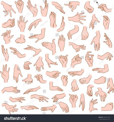 Vector Illustrations Pack Of Woman Hands In Various Gestures