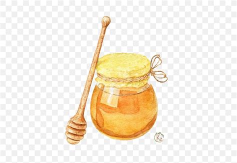 Honey Drawing Watercolor Painting Illustration Png 564x564px Honey