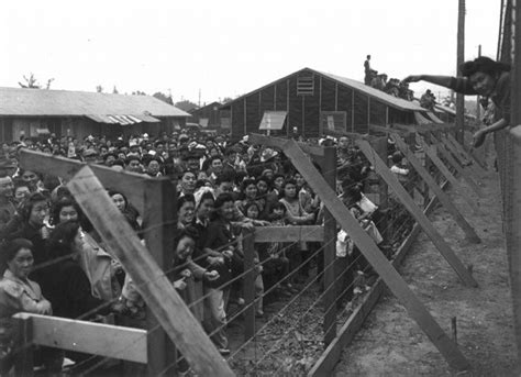 auauk japanese american internment the result of executive order 9066 tumblr pics
