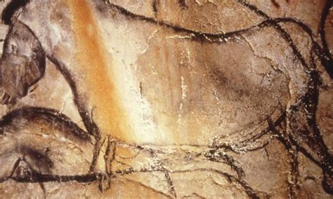 Replica Of The Chauvet Cave To Open To The Public At The End Of 2014