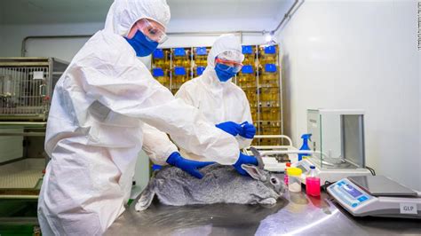 Russia registers world's first Covid-19 vaccine for animals - CNN