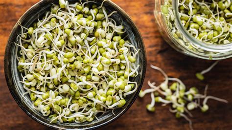 The Absolute Best Ways To Keep Bean Sprouts Fresh