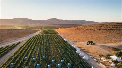 Teknologi Pertanian Metode Irigasi Tetes Dari Negara Israel Youtube