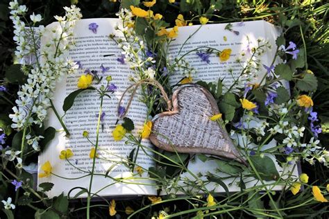 Foråret Kalder Natureventyret Venter Guldborgsund Bibliotekerne