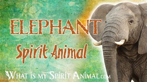 Elephant Spirit Animal Elephant Totem And Power Animal Elephant