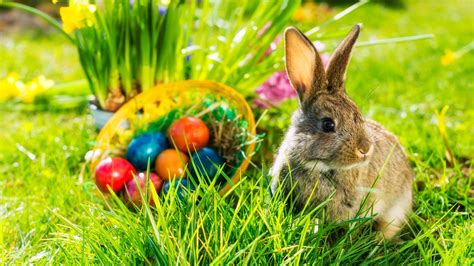 El Porqué Del Conejo Y Los Huevos De Pascua Edafes Academia De Idiomas