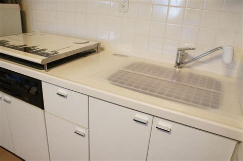 パート2 冒険は終わっていないところである。 それはまさに1月に彼らに何が起こったのかだ。 太陽が明るく輝いていた、雪が足元クランチ、冷ややかな冬の日だった。 そして、家族全員が散歩に行きました。 猫のいたずら対策（1） キッチンの危険を少しでも減らす : 365日 ...