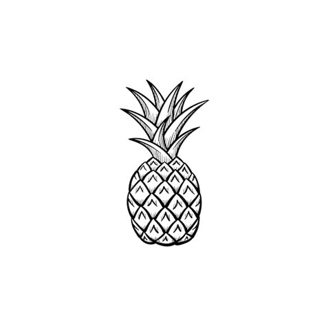 Premium Vector Vector Hand Drawn Pineapple Outline Doodle Icon