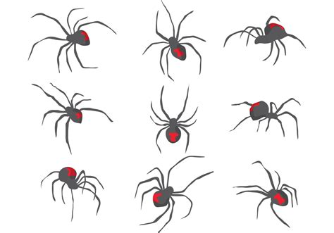 Black Widow Spider Vector Art Icons And Graphics For Free Download