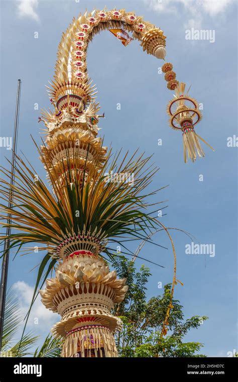 Penjor Bamboo Poles For Galungan Celebration Bali Island Indonesia