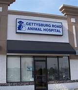Images of Animal Hospital Of Rye