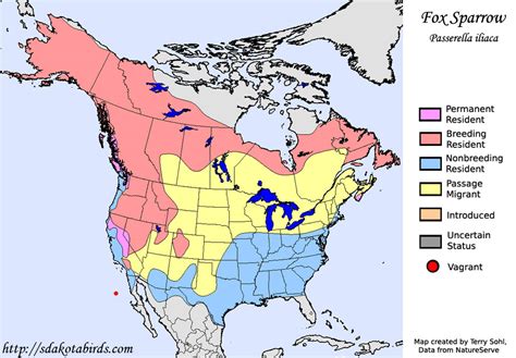 Fox Sparrow Species Range Map