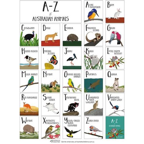 There are umpteen products that you could potentially fill your kitchen items list for a new home. A - Z of Australian Animals hb Book - K and K Creative Toys