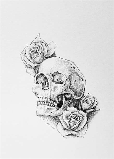 Skull And Roses Drawing By Hae Kim Pixels