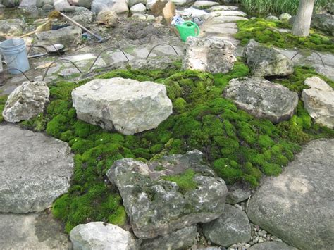 88 Best Moss Gardens Images On Pinterest Moss Garden Japanese