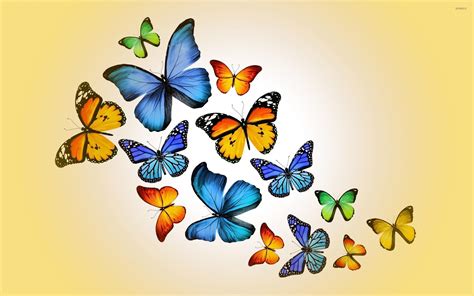 Animation Butterfly Wallpapers Wallpaper Cave