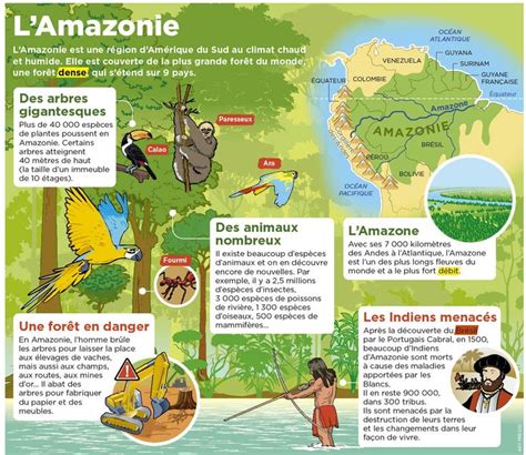 Lamazonie Géographie Carte Amerique Amerique Du Sud