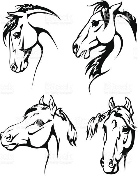 Four Horse Heads Royalty Free Stock Vector Art Horse Stencil Horse