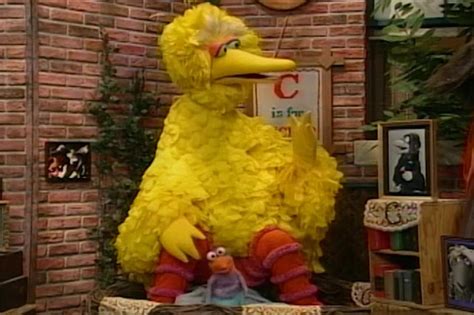 Sesame Street Episode 3564 Big Bird And The Cuckoos