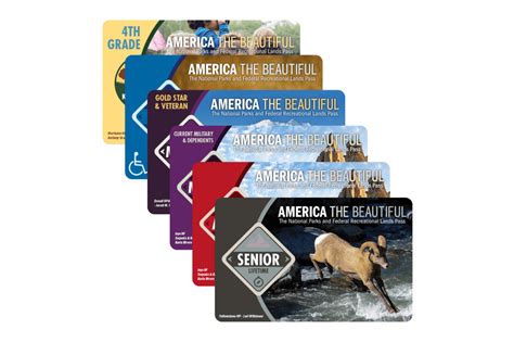 11 Florida National Park Units You Must Visit | Things to Do