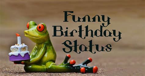 Funny Birthday Status And Captions Ssq