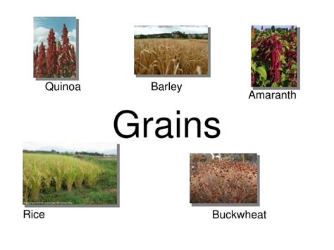 Ppt Grains Powerpoint Presentation Free Download Id