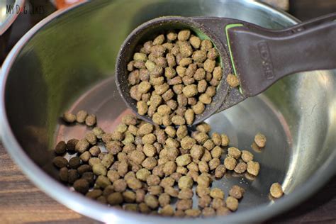 Raw food made easy to serve. Open Farm Dog Food Review - Sustainable and Ethically Sourced