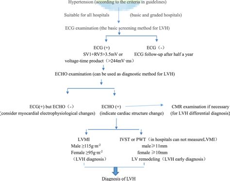 Diagnostic Pathway For Hypertension Associated Left Ventricular Hypertrophy Download
