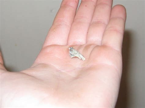 Leak under kitchen sink valve. Leaking Valve Under The Kitchen Sink? - Plumbing - DIY ...
