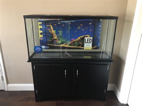 Got This 60 Gallon Stand For 187 220 And 15 Off At Petsmart R