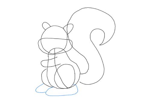 Kako Nacrtati Vevericu