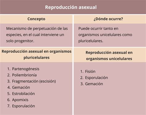 tipos de reproducción asexual en organismos unicelulares y pluricelulares