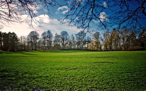Wide Angle Photo Of Green Meadow Surrounded By Trees Hd Wallpaper