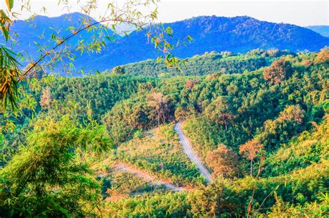 Free Images Yellow Tourism Sun Life Beautiful View Thailand