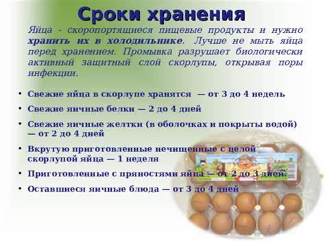 Проектная деятельность - Начальные классы - Мероприятия - 3 класс Картинка - Проектная деятельность - Начальные классы - Мероприятия - 3 класс