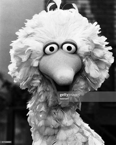 Big Bird Was A Character On The Tv Show Sesame Street Circa 1969 News