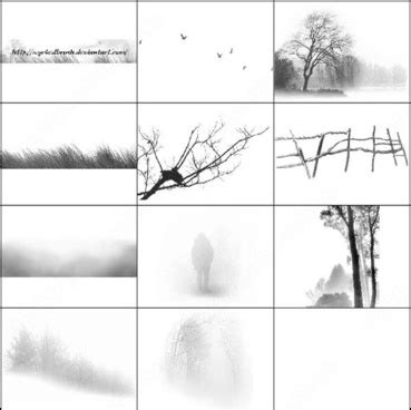 Created in photoshop cs2, there are a total of 25 tree photoshop brushes in this set. Tree plan view photoshop brushes download (68 photoshop ...