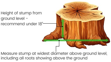 Greyt Grinders Stump Grinding Tree Stump Removal Mcdonough Ga