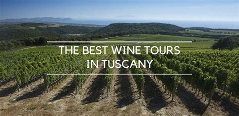 The Best Wine Tours In Tuscany My Travel In Tuscany