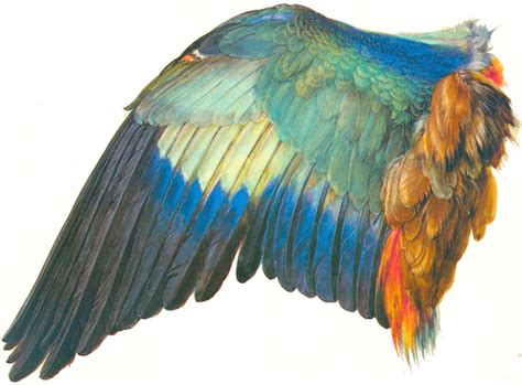 Es enthält eine bitmap von indizierten farben und verwendet verlustfreie komprimierung. Datei:Duerer Flügel.png - MOOCit, P4P Mini MOOCs