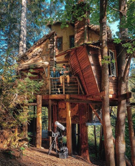 Treehouse Goals 😍🌿 Hippietribex Lorefave Indoor Tree House Indoor