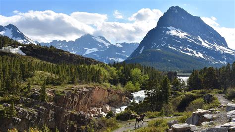 Road Trip From Denver To Glacier National Park Pursuits