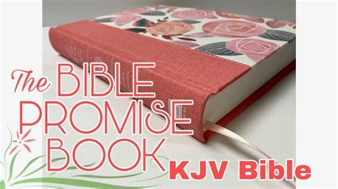 You have been my financial partner through both triumph and tragedy. The Bible Promise Book KJV Bible Review - YouTube