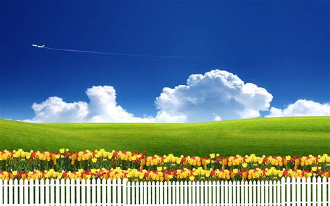 Pleasant Green & Sky Background Wallpapers