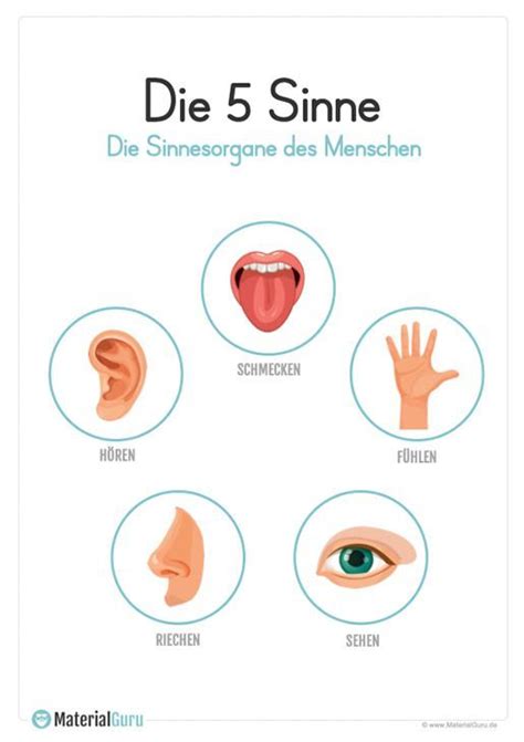 Ein komplettes lehrwerk zum unentgeltlichen download. Die 5 Sinne | Kostenlose arbeitsblätter